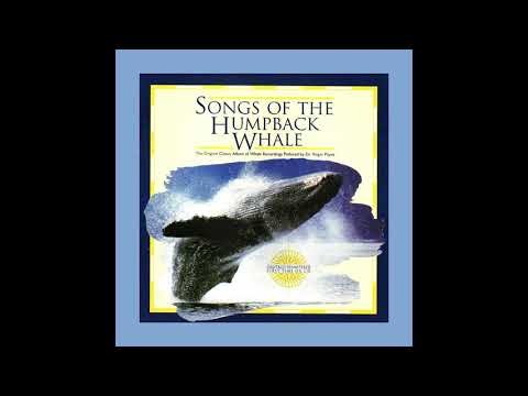 “Slowed-Down Solo Whale” - Songs of the Humpback Whale