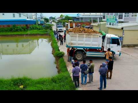 Fantastic Start Action!! New Landfill By Skills Dozer D31p Push Soil & Truck Dumping Soil Into Water