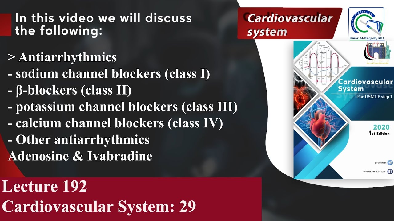 Antiarrhythmics — sodium channel blockers, β-blockers, potassium channel blockers, Adenosine