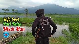 Download lagu Spot Pari Kelep Mbah Man ‼️ Mancing Rawa Pening Terbaru @mboncengmancing #81 mp3 Download lagu Spot Pari Kelep Mbah Man ‼️ Mancing Rawa Pening Terbaru @mboncengmancing #81 mp3