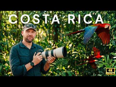 Costa Rica Rundreise: Von der Karibik zum Pazifik