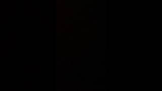 kids声可愛っす