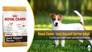 Royal Canin Adult Jack Russell Terrier 1,5 кг (2100015) - відео 1