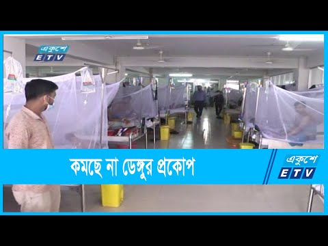 কমছে না ডেঙ্গুর প্রকোপ