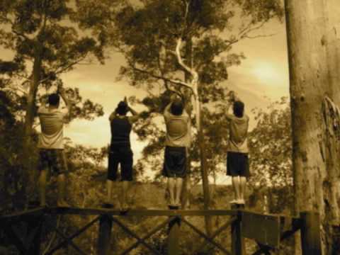 LACED AFFAIR - Duckpond