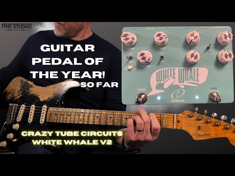 Crazy Tube Circuits White Whale Analog Spring Reverb / Tremolo V2 blue image 3