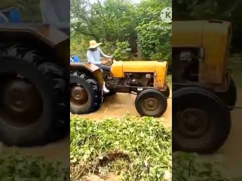 TBT Frei Martinho - PB (31/03/24 - part 2) #tbt #rural #trator #enchente #shorts #agua #sertão