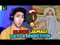 Pakistani React on Alizeh Jamali Tik Tok Videos | Maadi Reacts