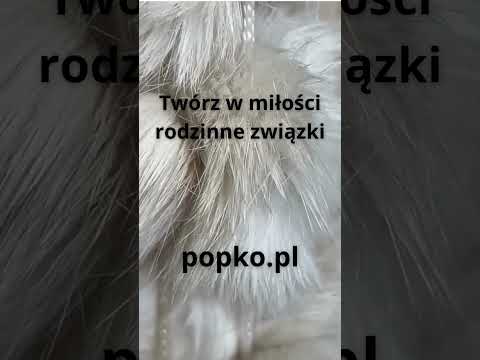 [Encyklopedia Wiedzy Duchowej] Twórz w miłości rodzinne związki popko.pl  #popko #duchowosc #rozwój #rozwojduchowy #rozwojosobisty