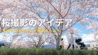 桜撮影のアイデア　Ver.2025