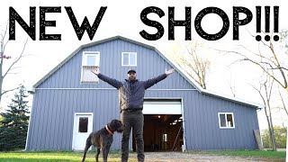 The NEW DREAM SHOP!!!