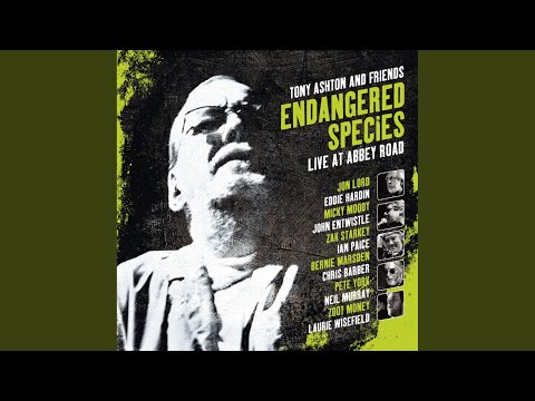 Mess Of Blues (live)