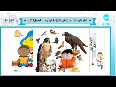 الاول الابتدائي | الفصل الدراسي الثاني 1438/ لغتي | الوحدة السادسة:صحتي وغذائي: طعام ملوث