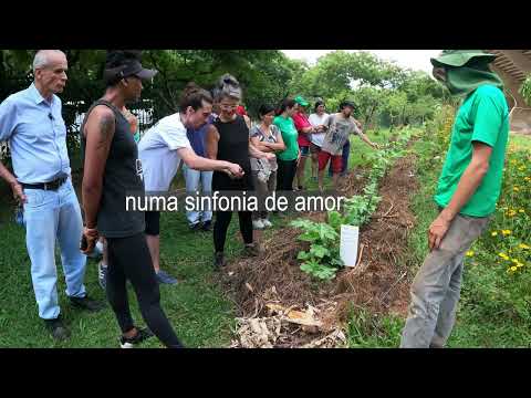 sattivus e amani kush - tudo q necessita - usp agrofloresta - 2023