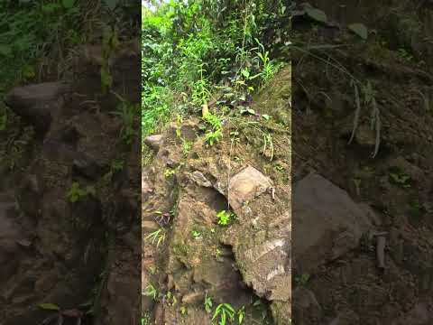 recorrido en camioneta por las calles de Santa maria - Huila (Colombia)