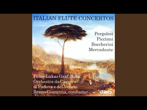 Flute Concerto in G Major: III. Allegro spiritoso