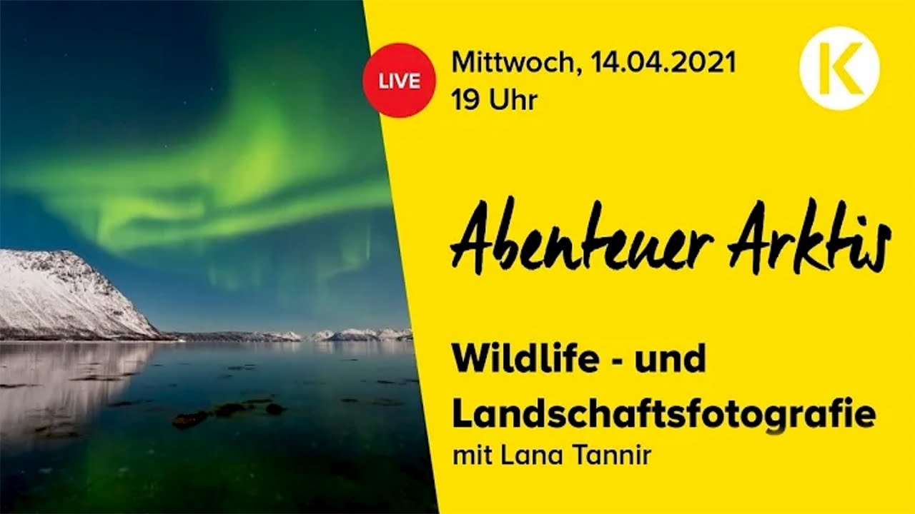 Abenteuer Arktis - Foto Koch