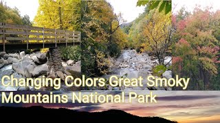 Fall Time In The Great Smoky Mountains National Park