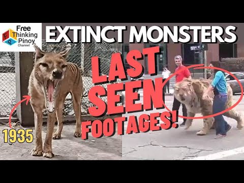10 EXTINCT NA HAYOP na nakunan sa video | Last Video of Extinct Animals