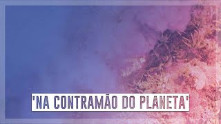 Miniatura do vídeo