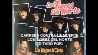 Los Tigres del Norte Carrera contra la muerte