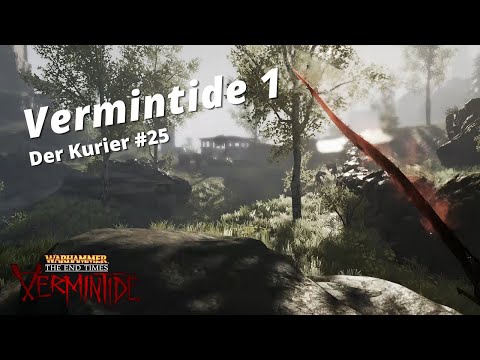 Vermintide End Times - Der super schnelle Assasine - #25 - DE