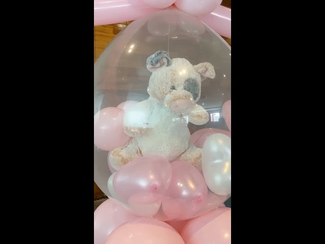 Vídeo relacionado con Deluxe Paws Osos de peluche de regalo para ocasiones especiales, 100% reciclado (feliz cumpleaños)