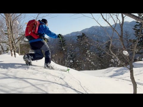 Backcountry Powder Skiing Hokkaido