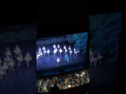 Lago de los cisnes 18 03 2026. Rocío Aguero - Jiva Velazquez Saludo final .Teatro Colón