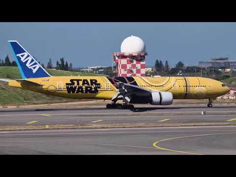 再見了 C—3PO たくあん (醃蘿蔔)