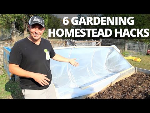 6 Money Saving Gardening Hacks