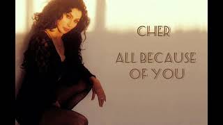 All Because Of You - Cher | Lyric Video