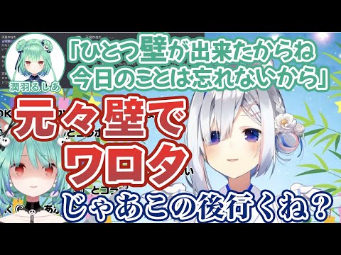 「るしあぼいんぼいん」というチャットを潤羽るしあに送りつけ、死を悟る天音かなた【ホロライブ切り抜き】