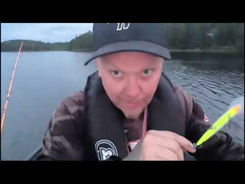 Pottukoira Kalassa Ja Uistin Sormessa Kiinni #Pottukoira #kala