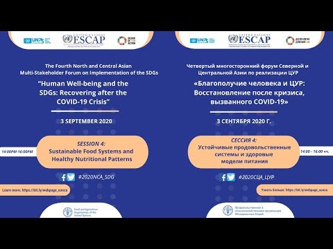 Session Recording - Sustainable Food Systems and Healthy Nutrition Patterns in North and Central Asia (FAO/UN ESCAP, 3 Sep 2020)