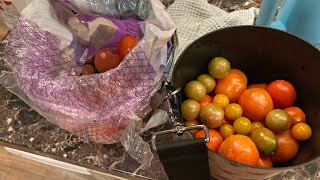 Easy way to store tomatoes before canning #foodstorage #canning #pressurecooker #pressurecanning