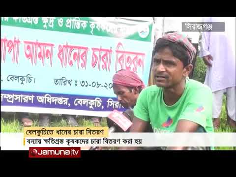 আপদকালীন রোপা আমন চারা বিতরন