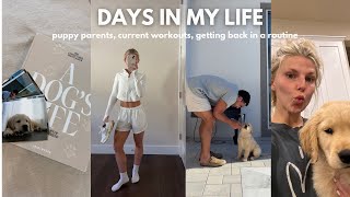 VLOG: getting back on track, puppy photo album, current favorite dinner, daily workouts