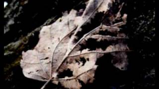 Deine Lakaien - Over and Done