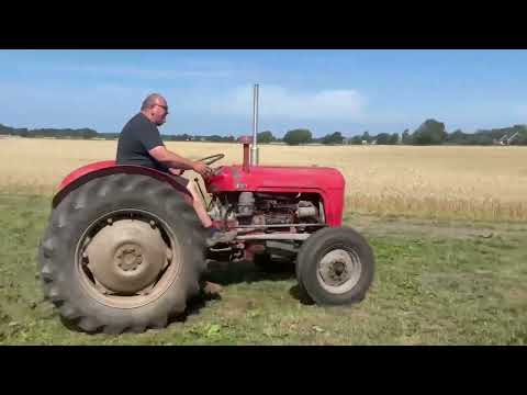 Videoklipp
