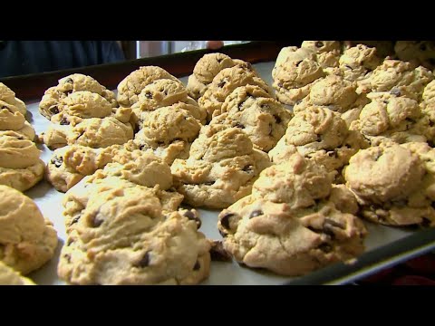 What's Your M-O?: Missouri's food and drink travel guide