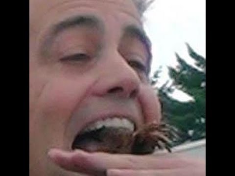 Promotional video thumbnail 15 for The Amazing World of Brad Byers