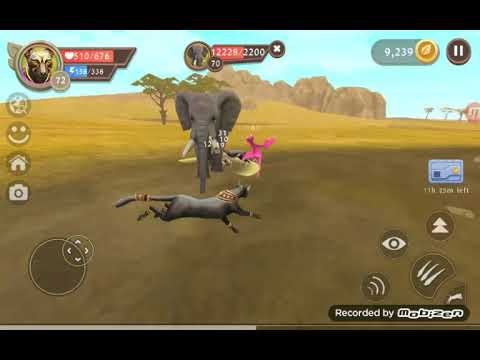 Killing 4 bosses with cheetah mystic skin | WildCraft |