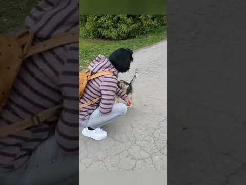 Campingplatz/ Ferienanlage Erzeberg Bad Emstal