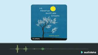 KĄ PAMATYSI SULĖTINĘS ŽINGSNĮ. Haemin Sunim audioknyga | Audioteka.lt
