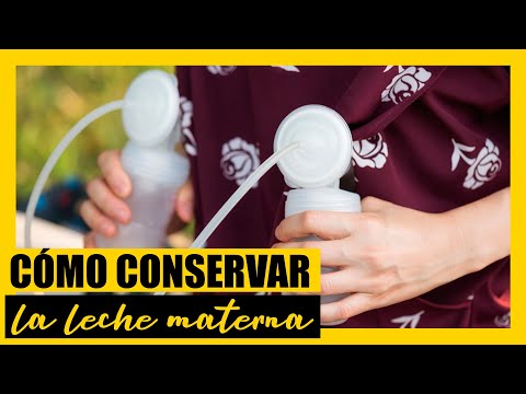 transparente mDesign Juego de 2 cajones de pl/ástico para alimentos infantiles Caja de almacenaje de pl/ástico sin BPA para bolsas de leche materna Organizador de cocina con asas y 2 apartados