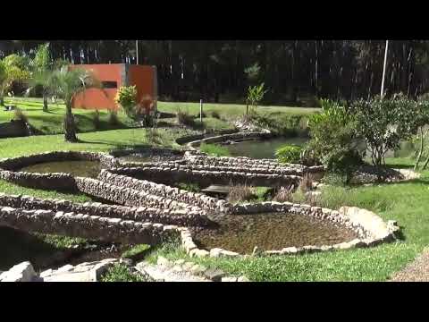 Puente Salto Grande - Complejo Termal Concordia