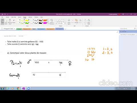 Rezolvarecompleta  problema genetica  Subiectul II B Simulare Bac 2021
