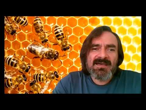 02 enumeración de las acciones reales