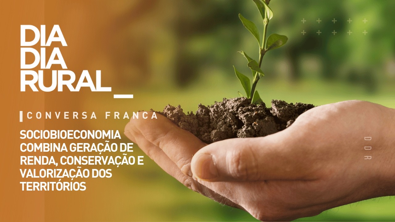 Sociobioeconomia: o modelo que une renda, floresta e comunidade no Brasil